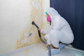 Mold Removal for HVAC Installations in Brier, WA